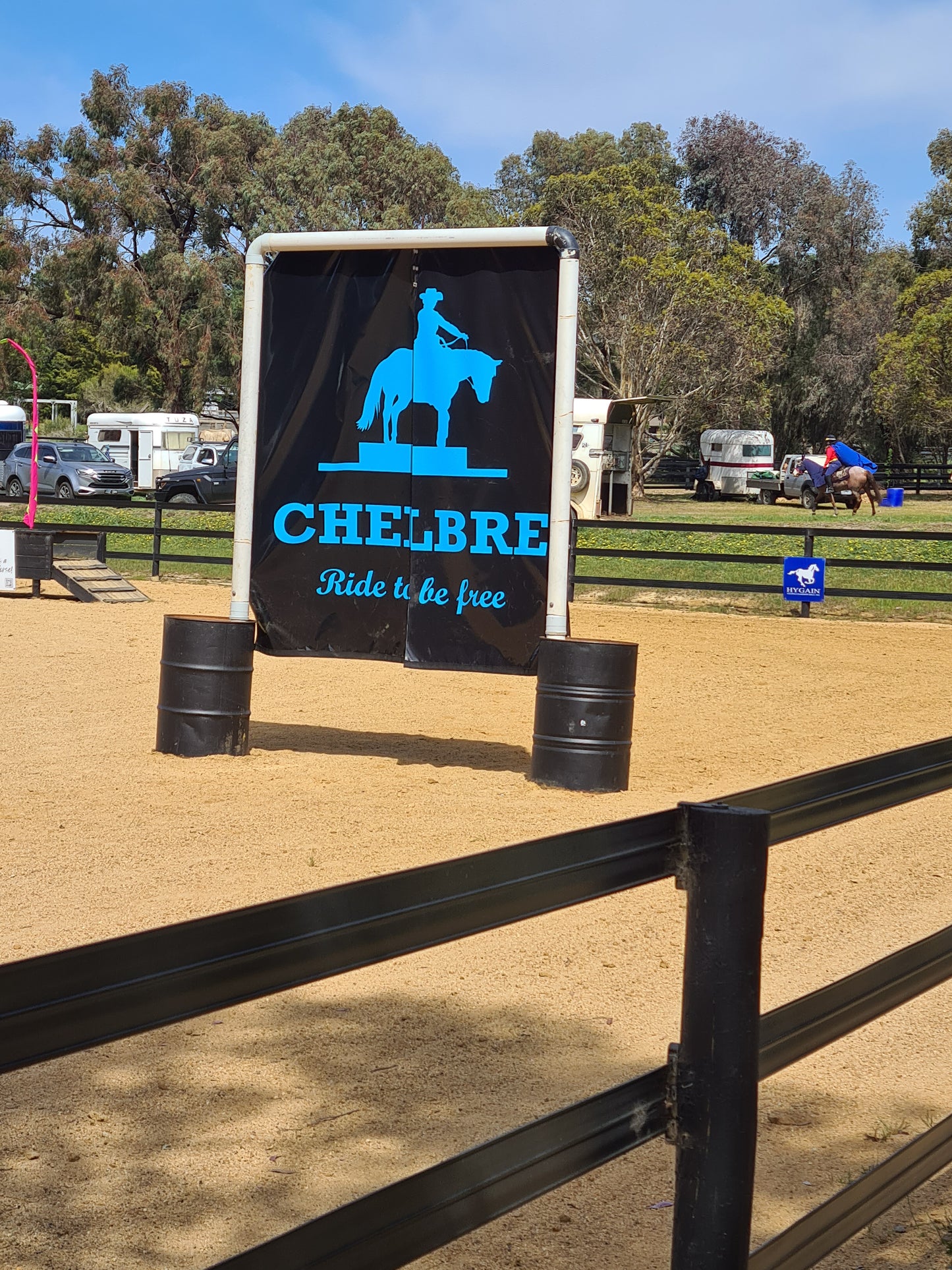 Cowboy Curtains Horsin Around Designs