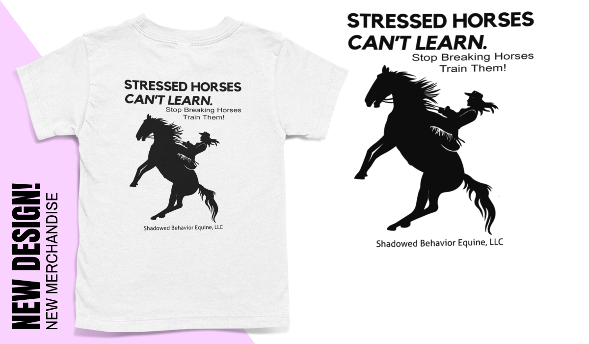 Train Them Don't Break Them! Horsin Around Designs